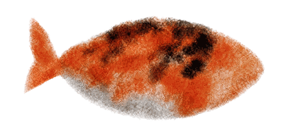 Normal fish
